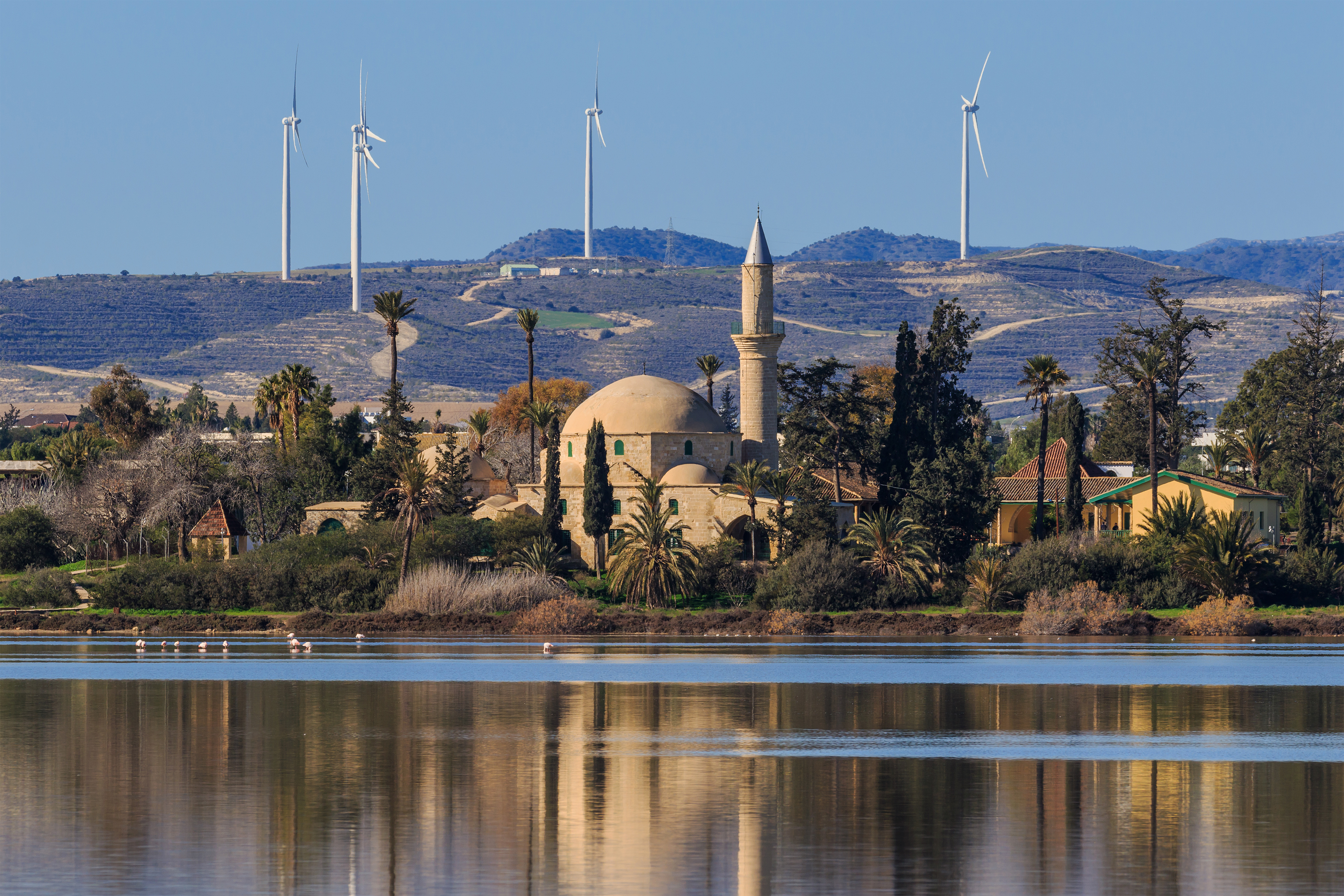 Larnaca 01-2017 img30 Salt Lake