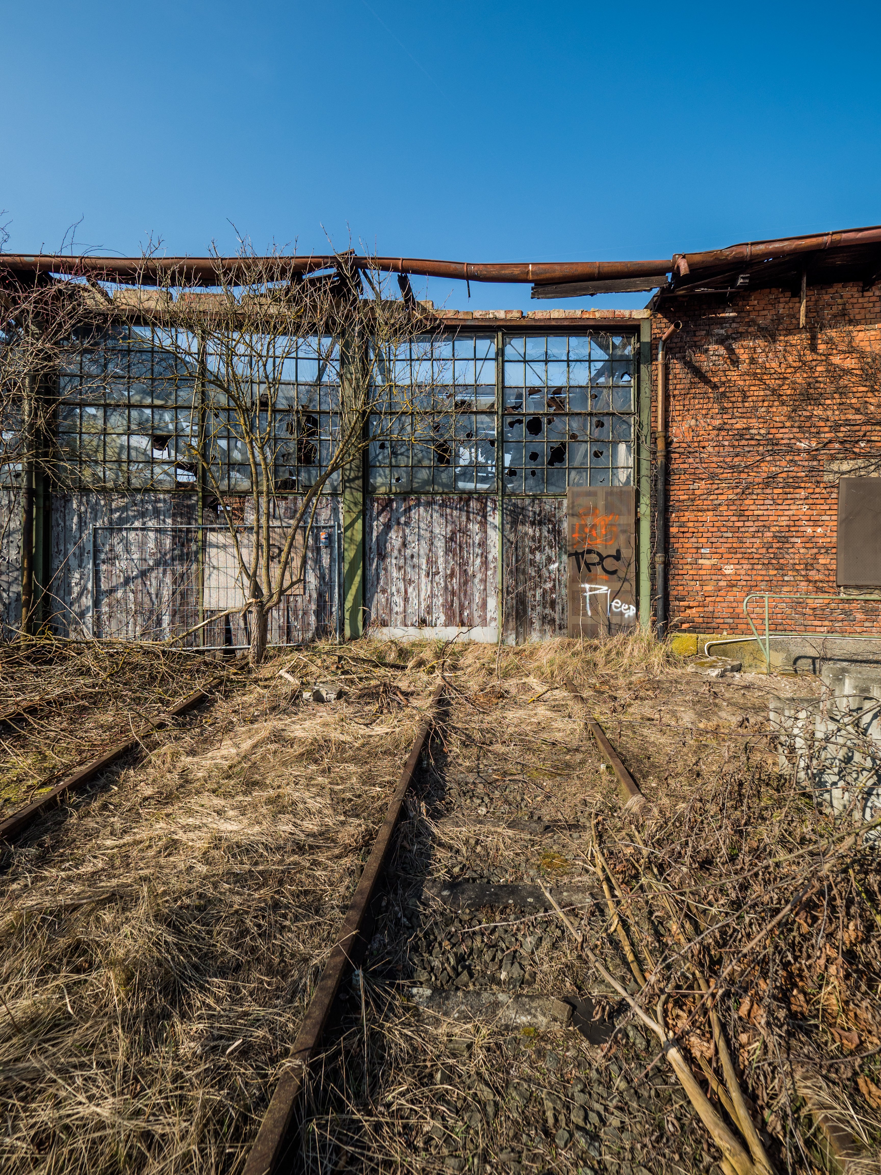 Lokschuppen-Bamberg-3139383