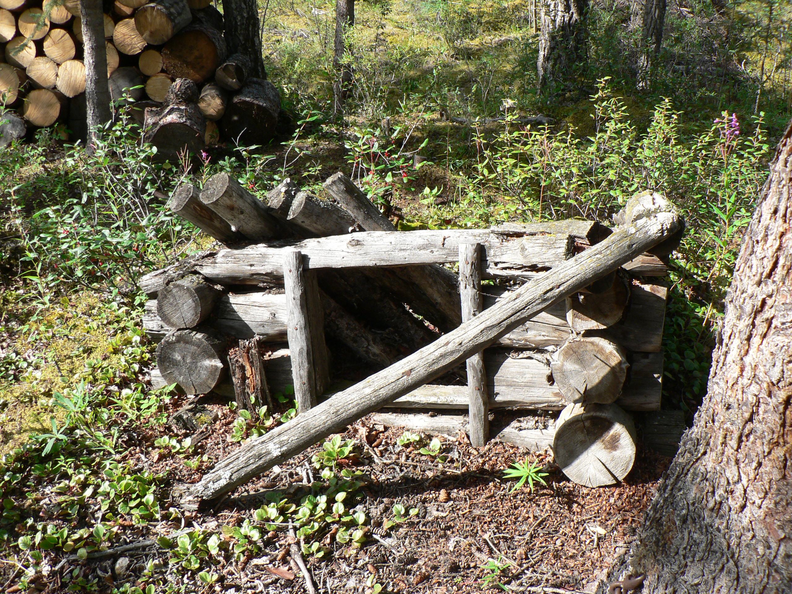 Lower East Fork Dog House