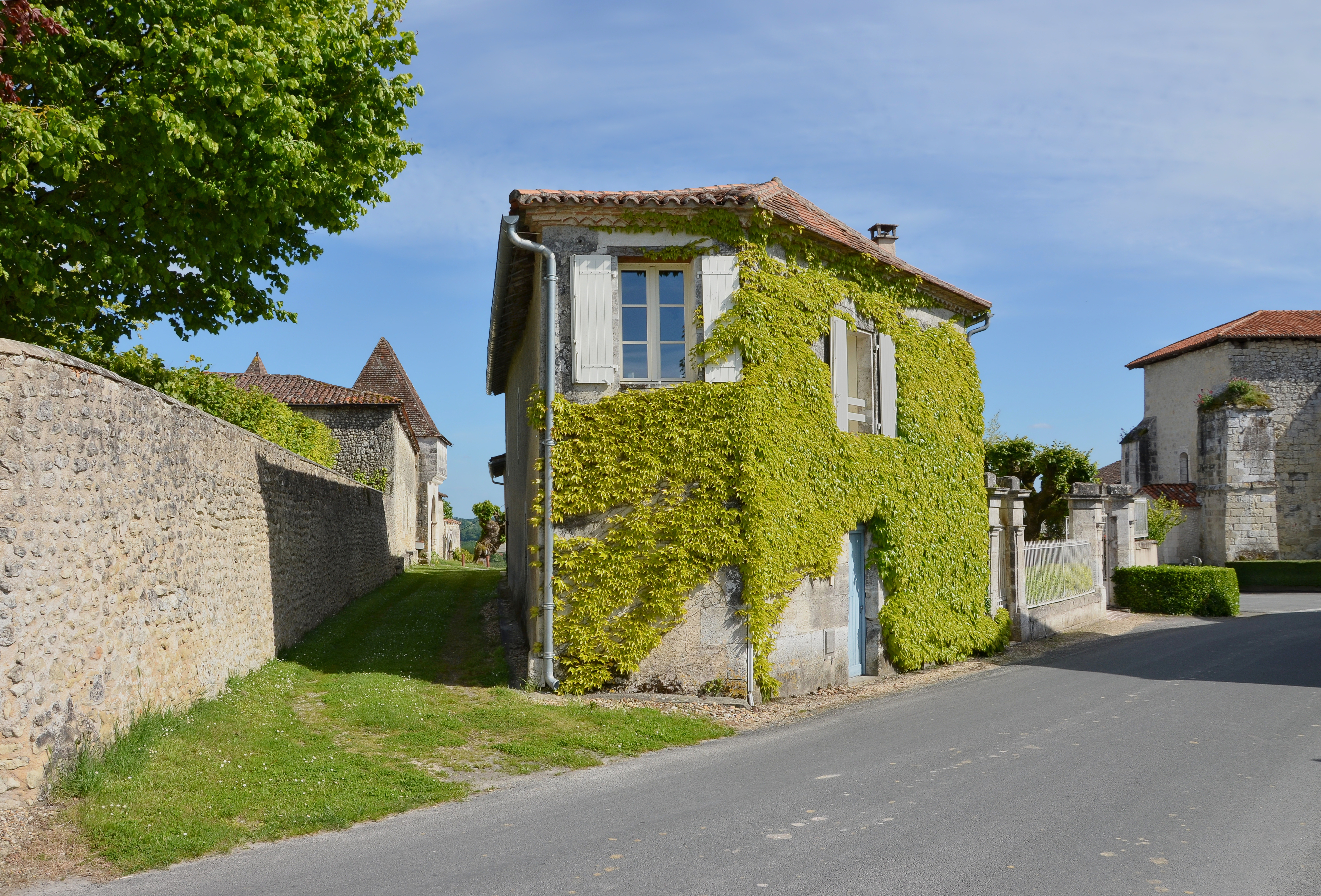 Lusignac 24 Maison&allée vers château 2014