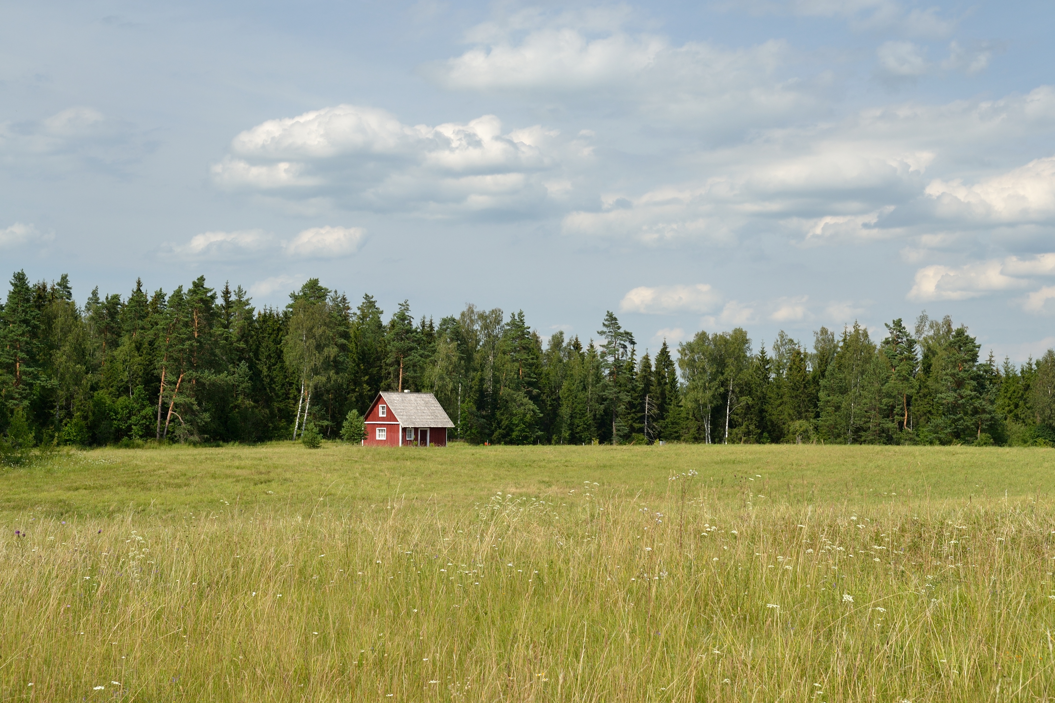 Mägestiku küla