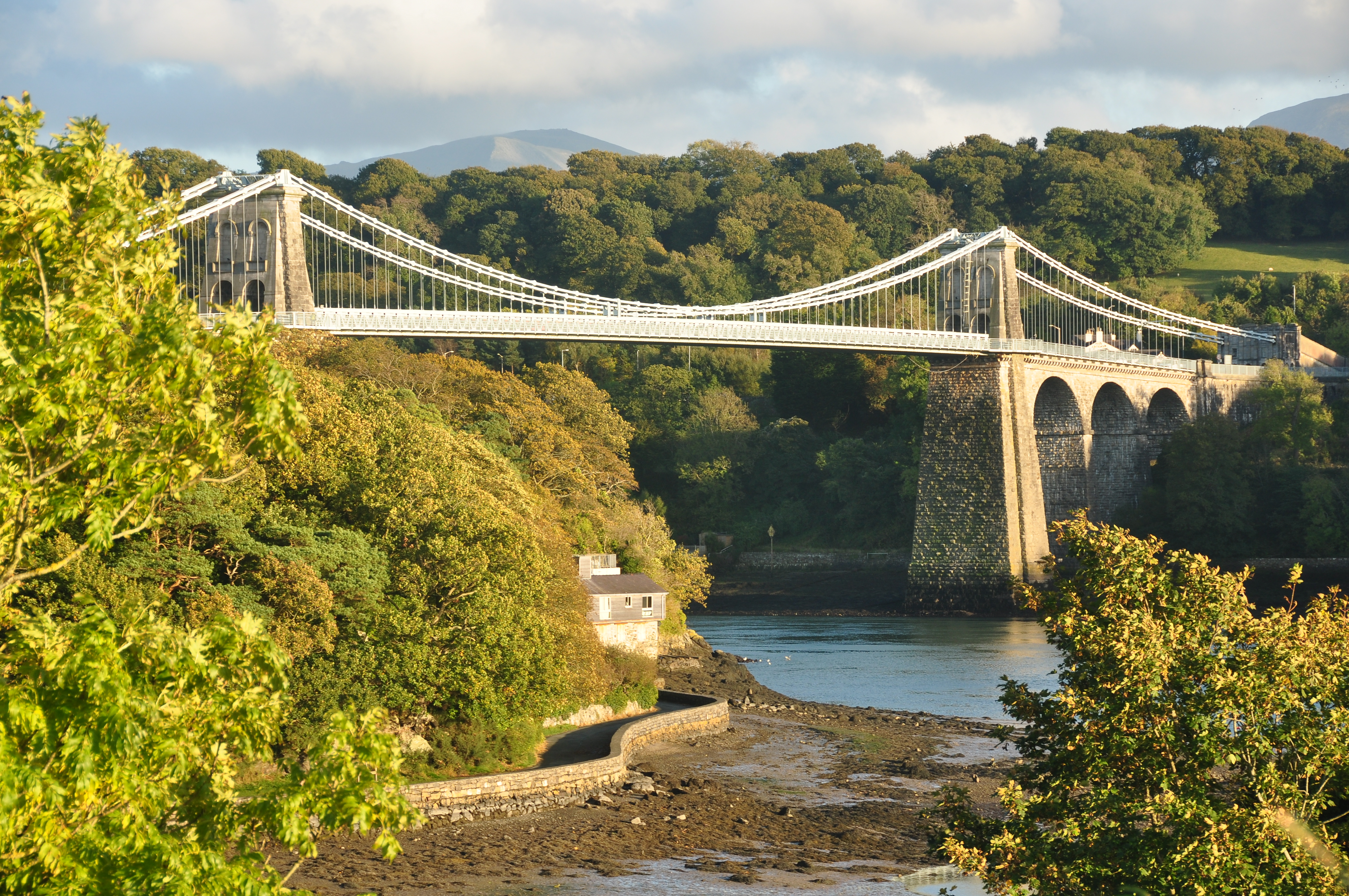 Menai Suspension Bridge (7604)