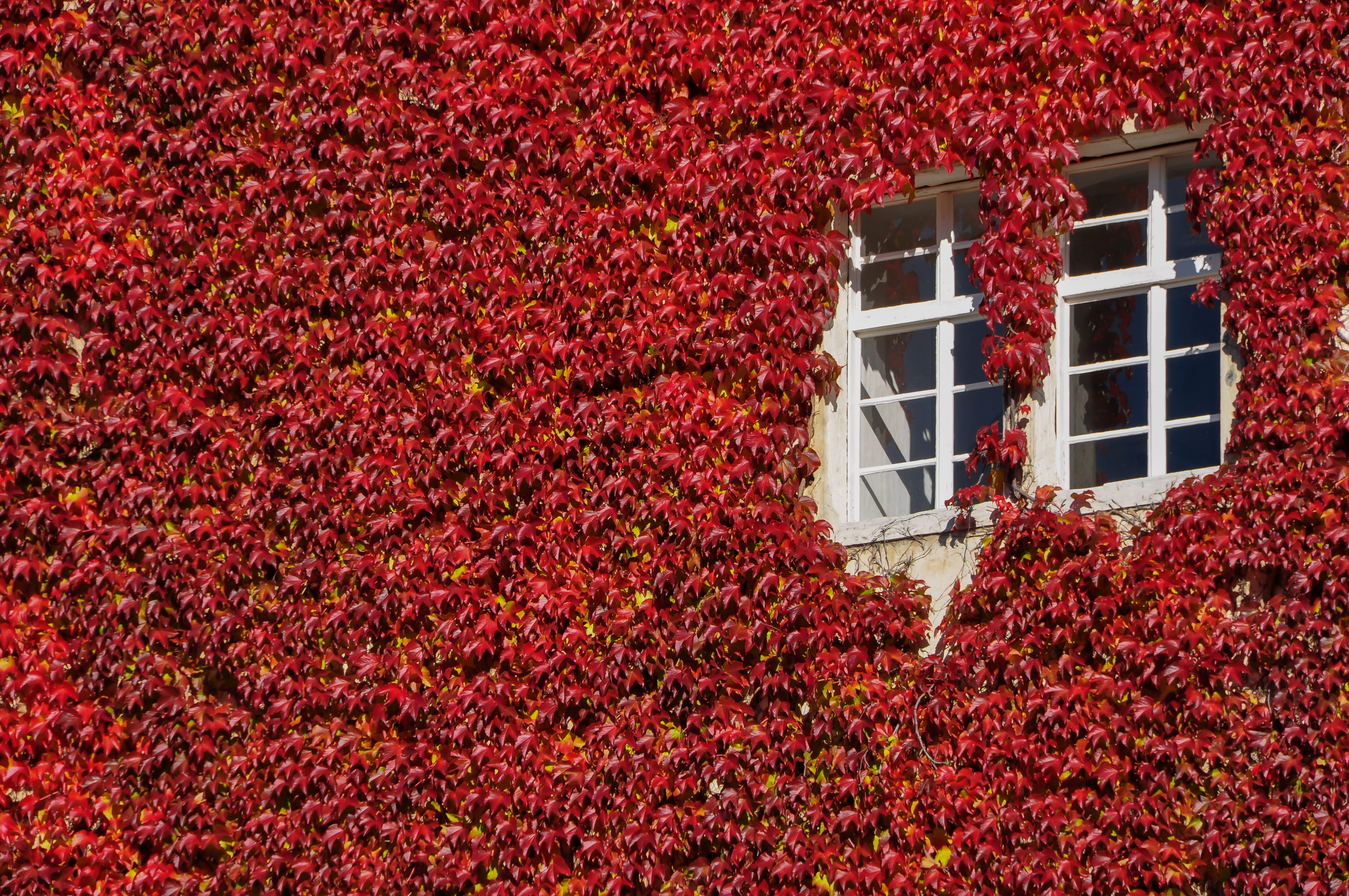 Moosburg Ausschnitt der Westwand von Schloss Moosburg 22102010 8556