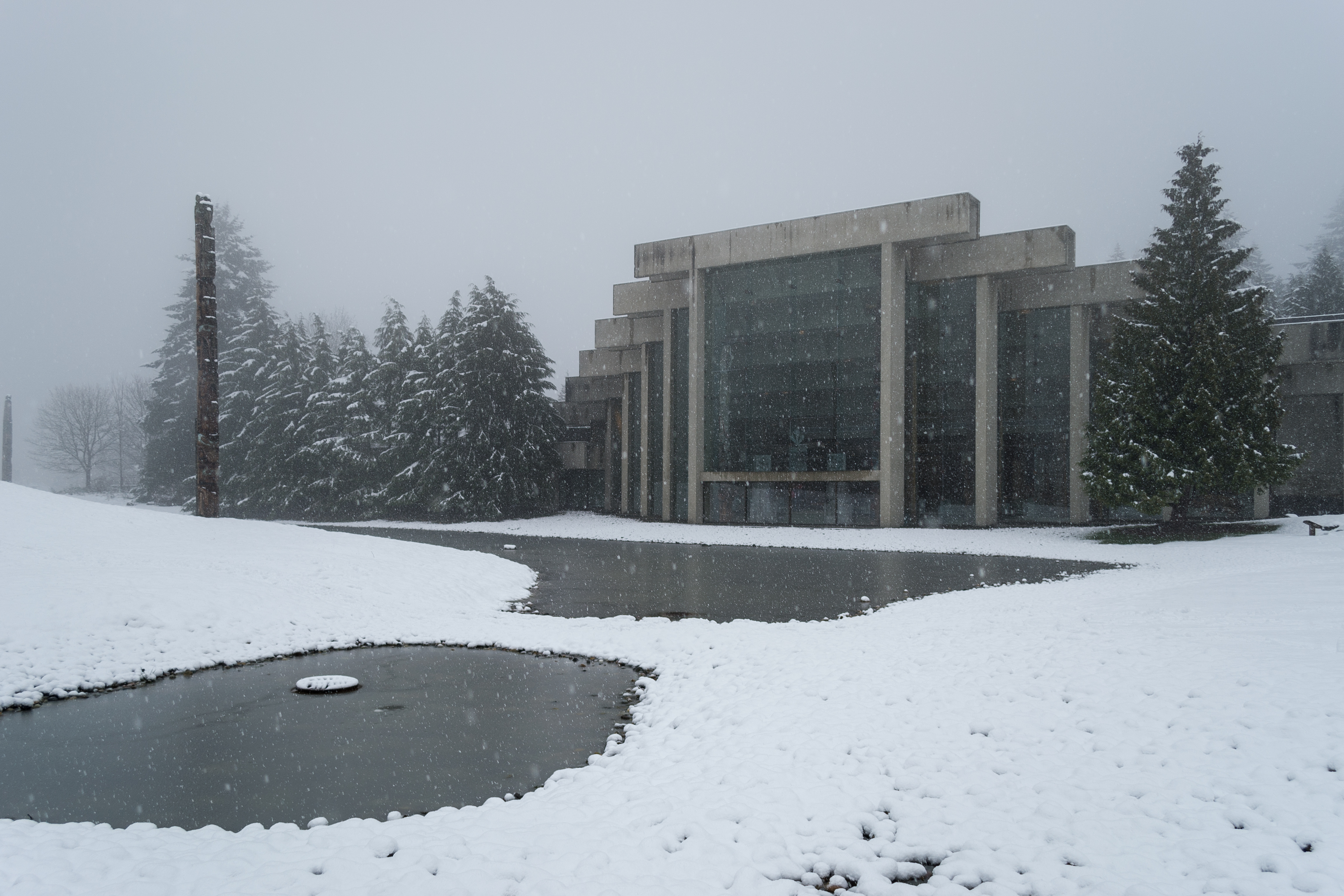 Museum of anthropology 2