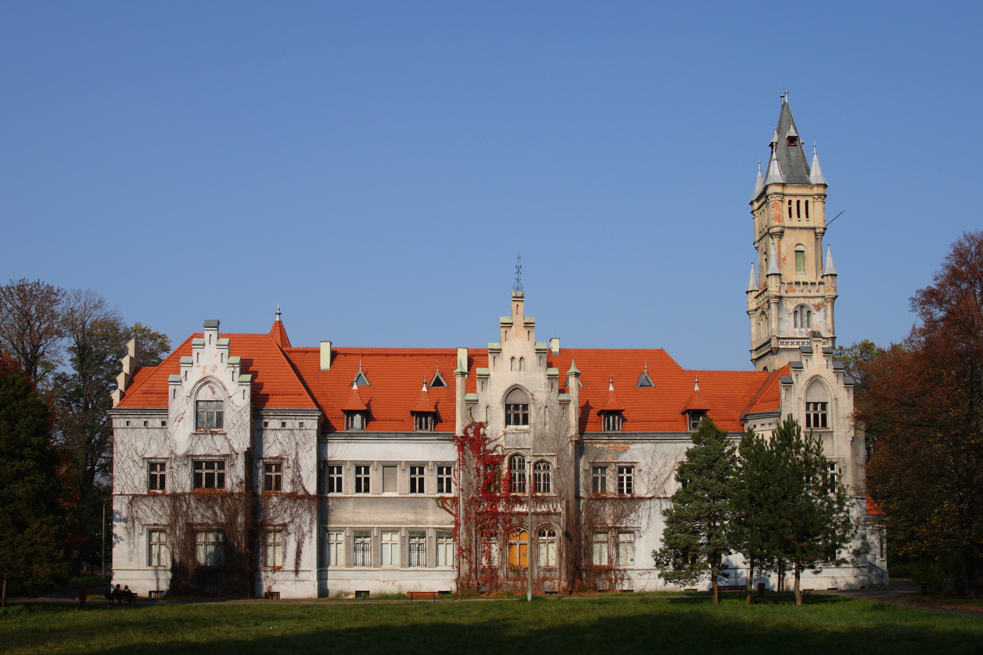 Nakło Śląskie - Pałac 01