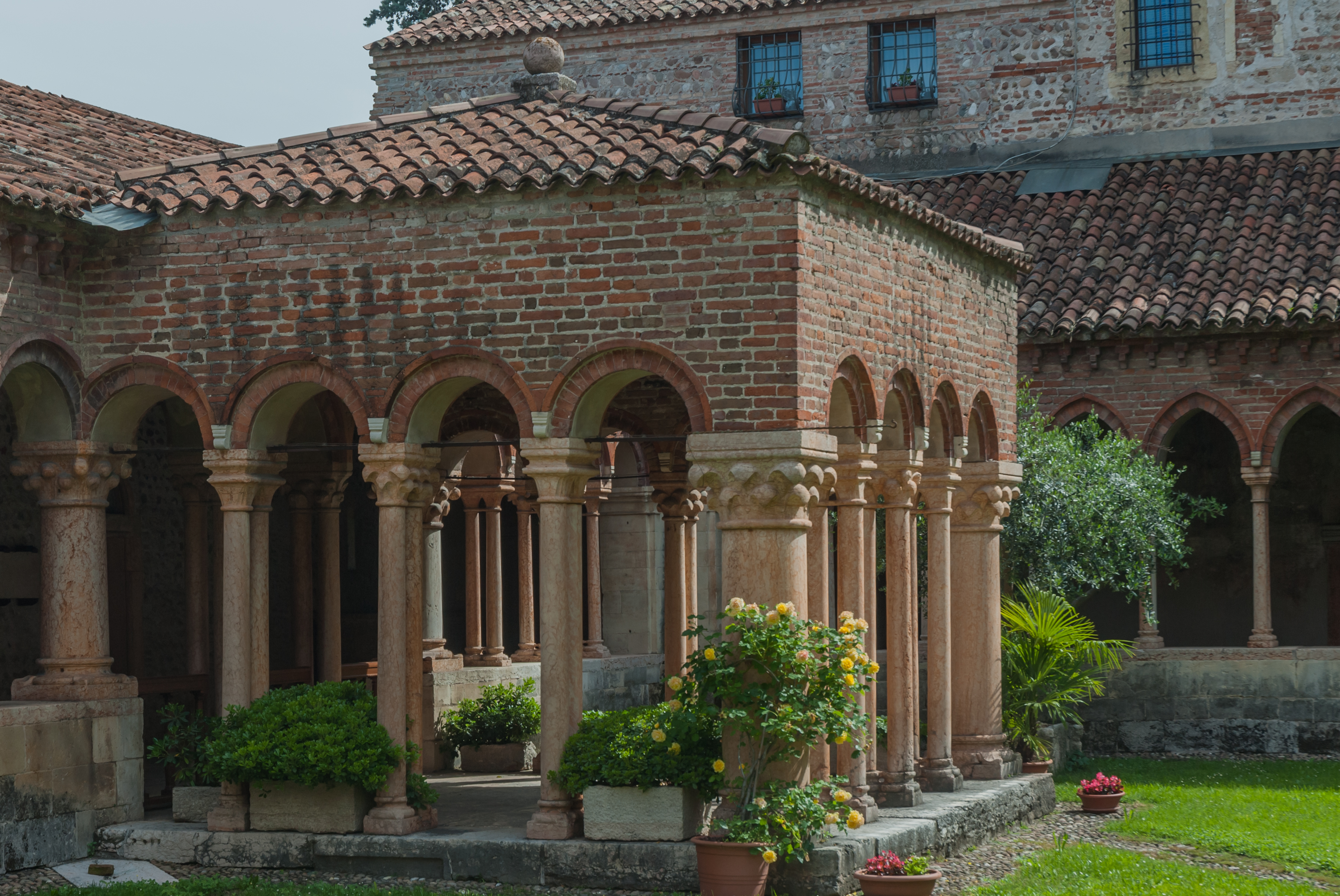 Nel chiostro di San Zeno