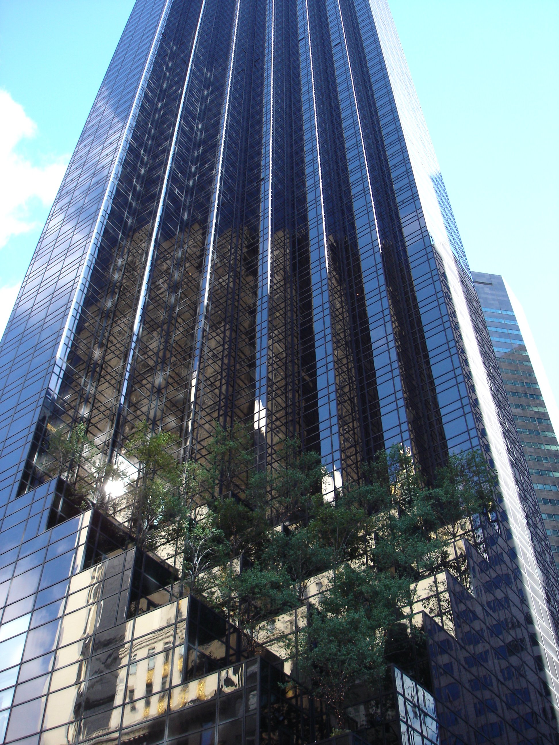 NY01