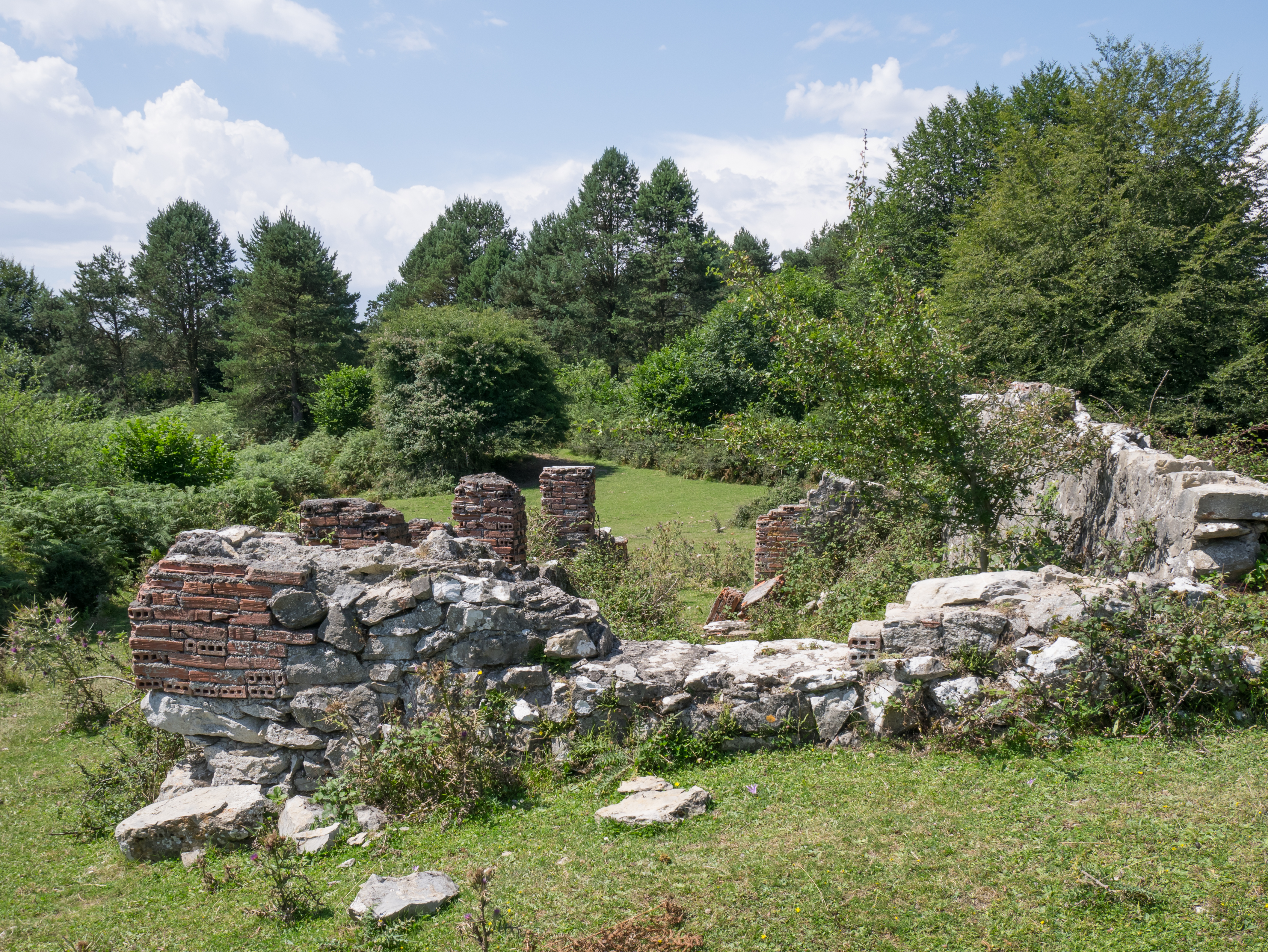 Orduña - Txarlazo - Ruinas 01