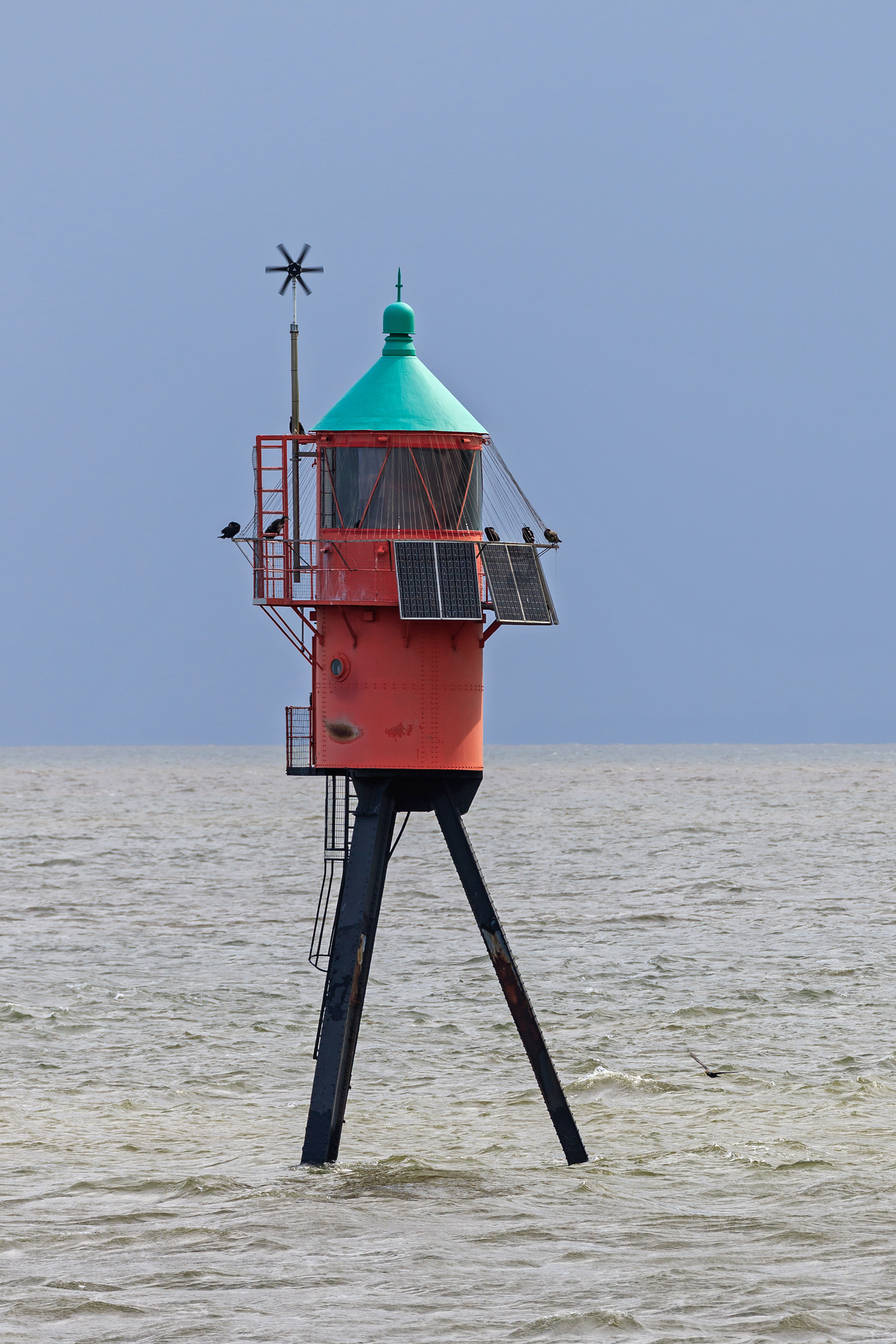 Outer Weser near Bremerhaven 07-2016 photo1