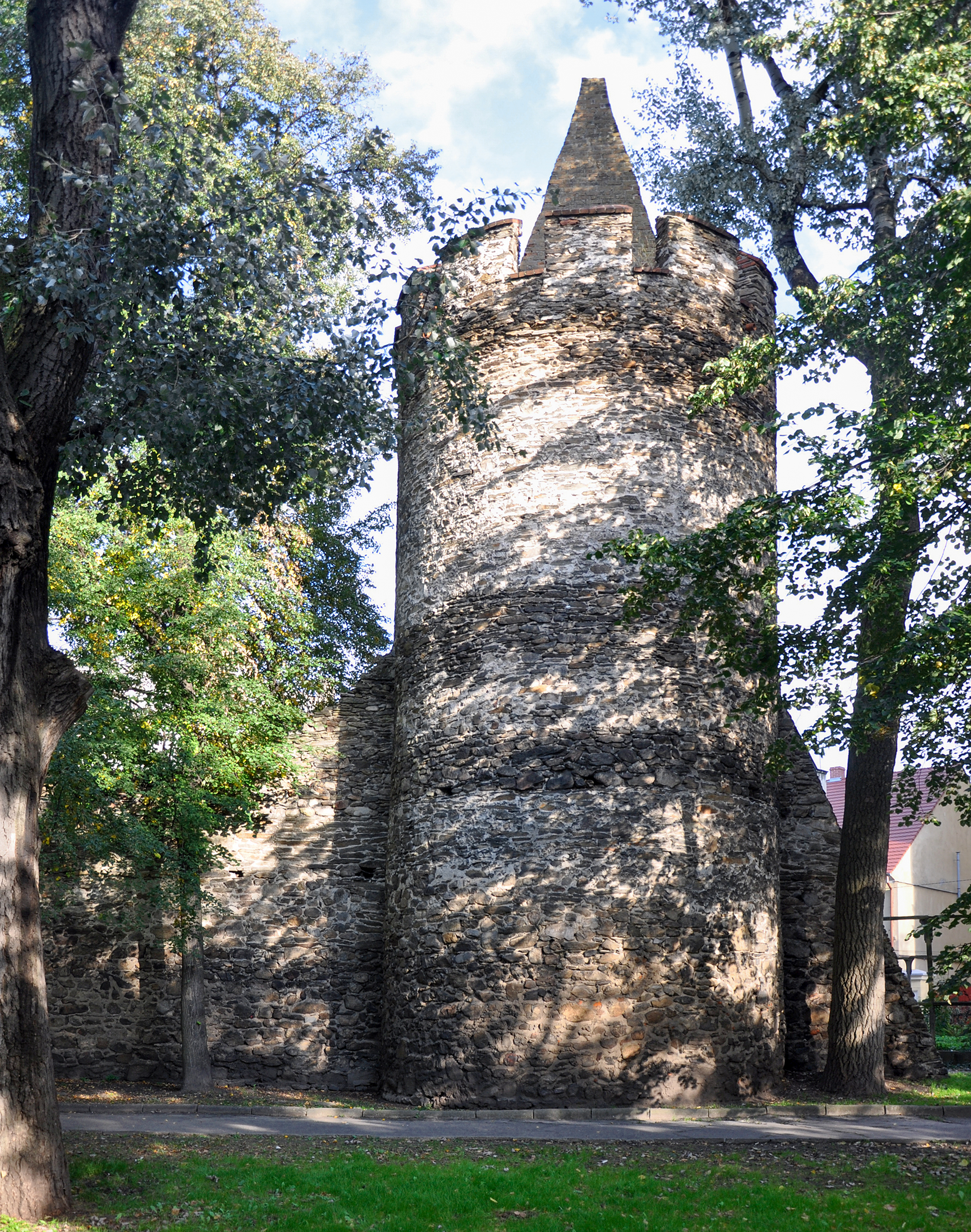 Paczków, mury obronne, 15
