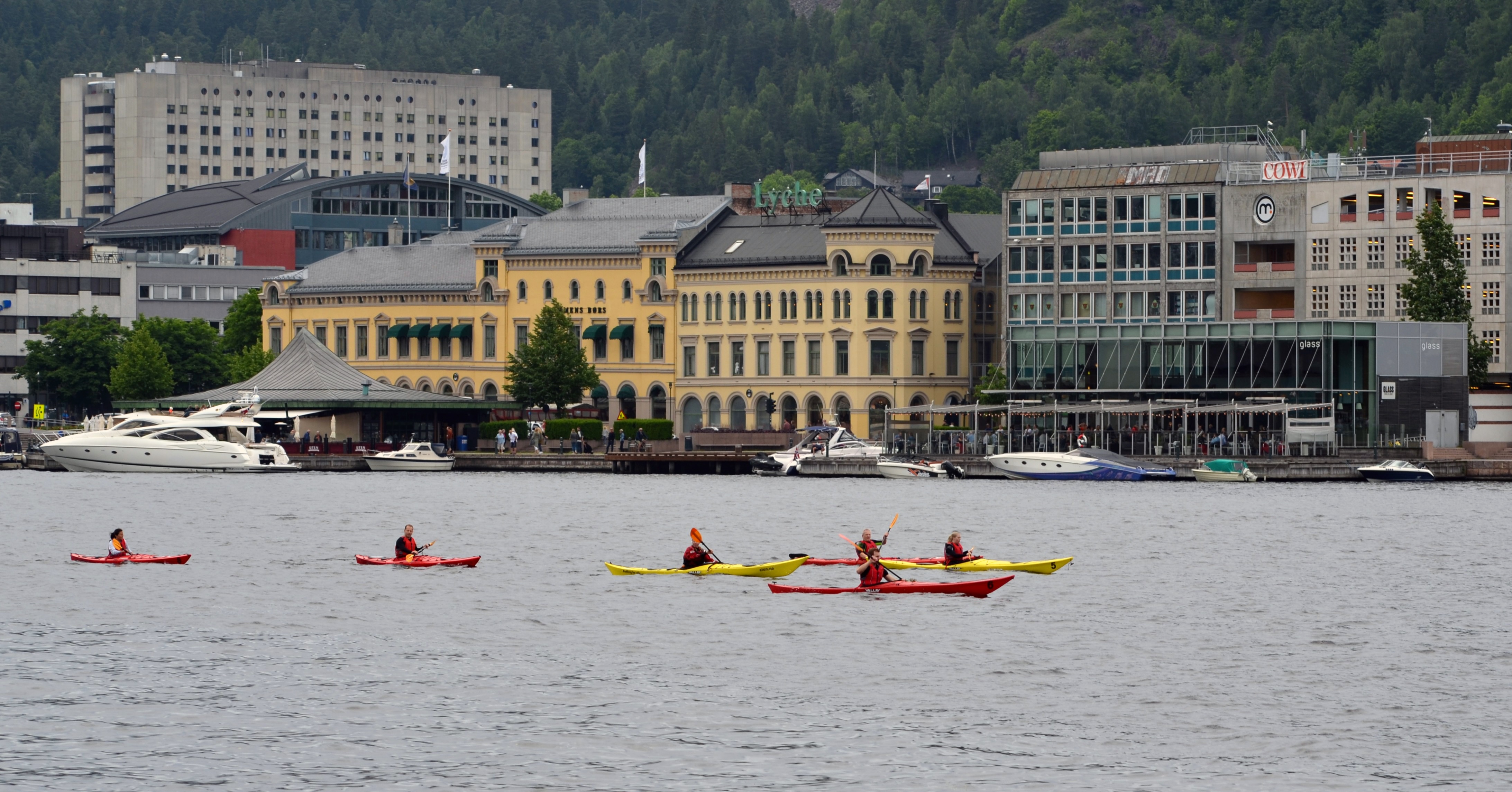Padlere på Drammenselva (2)