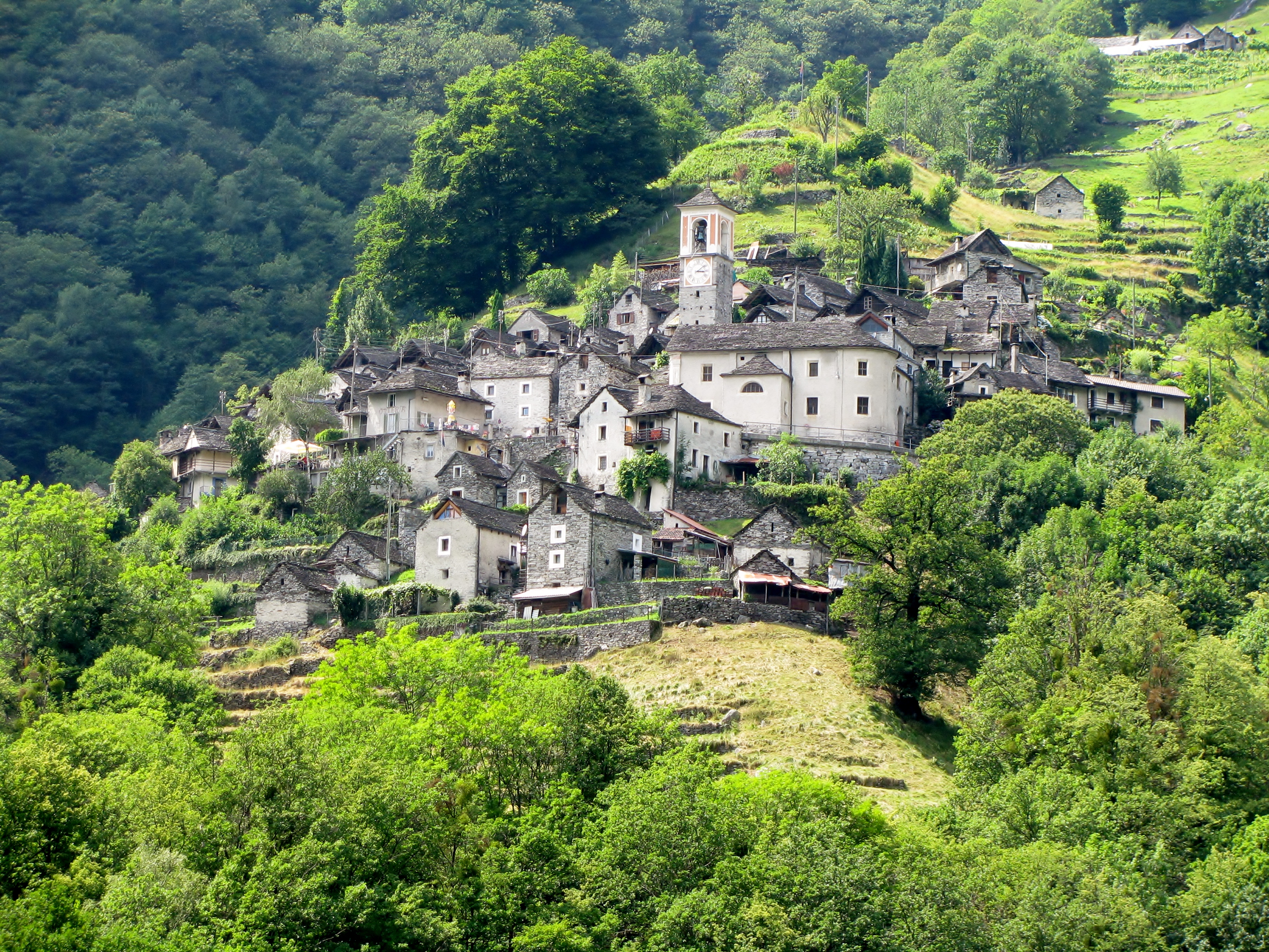 PaesaggioCorippo