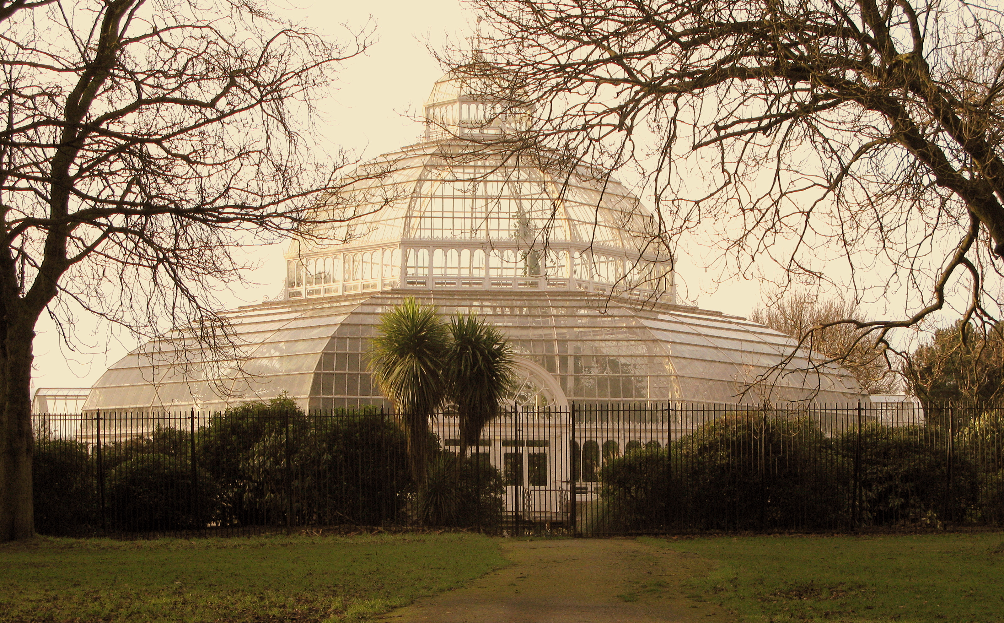 Palm House Sefton Park