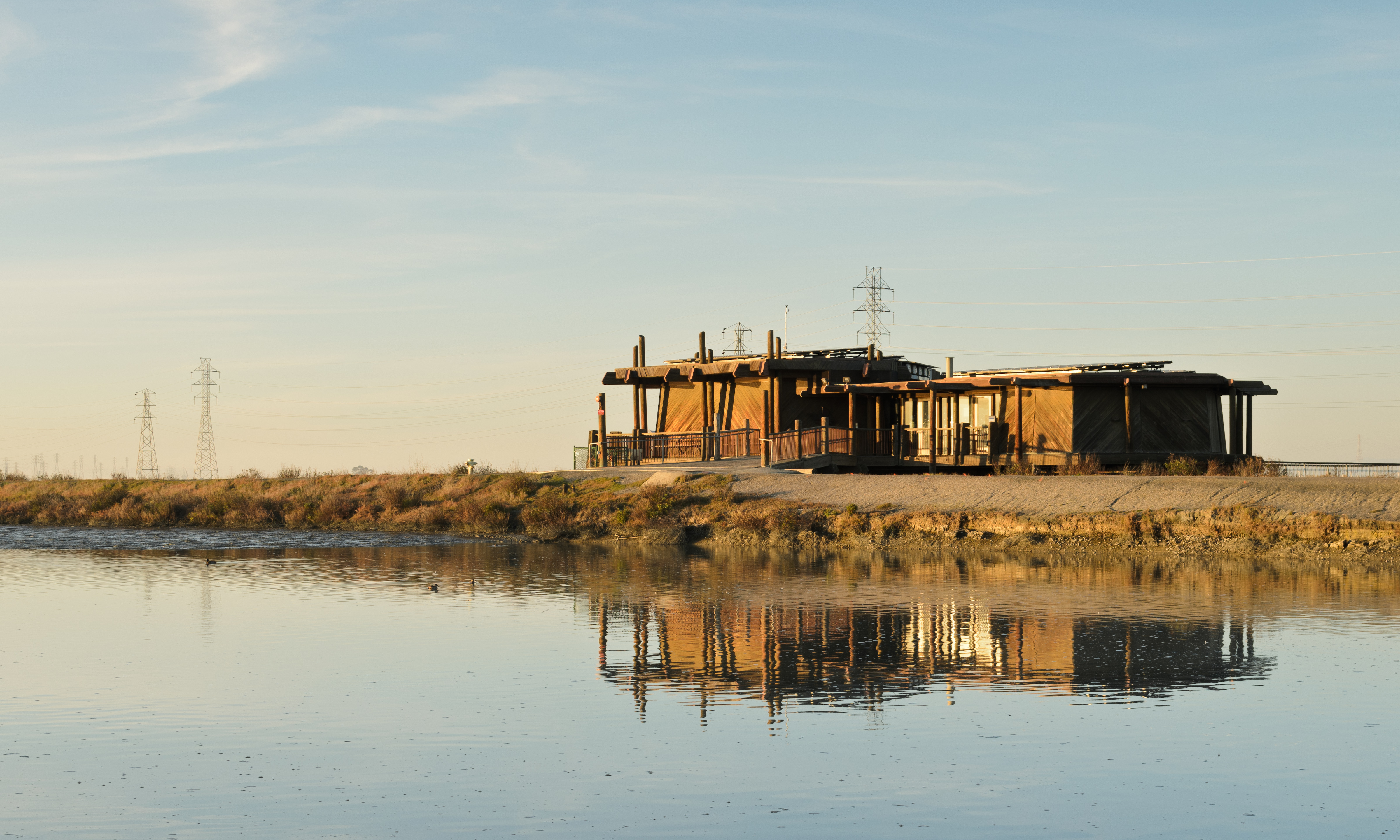 Palo Alto Baylands January 2013 004
