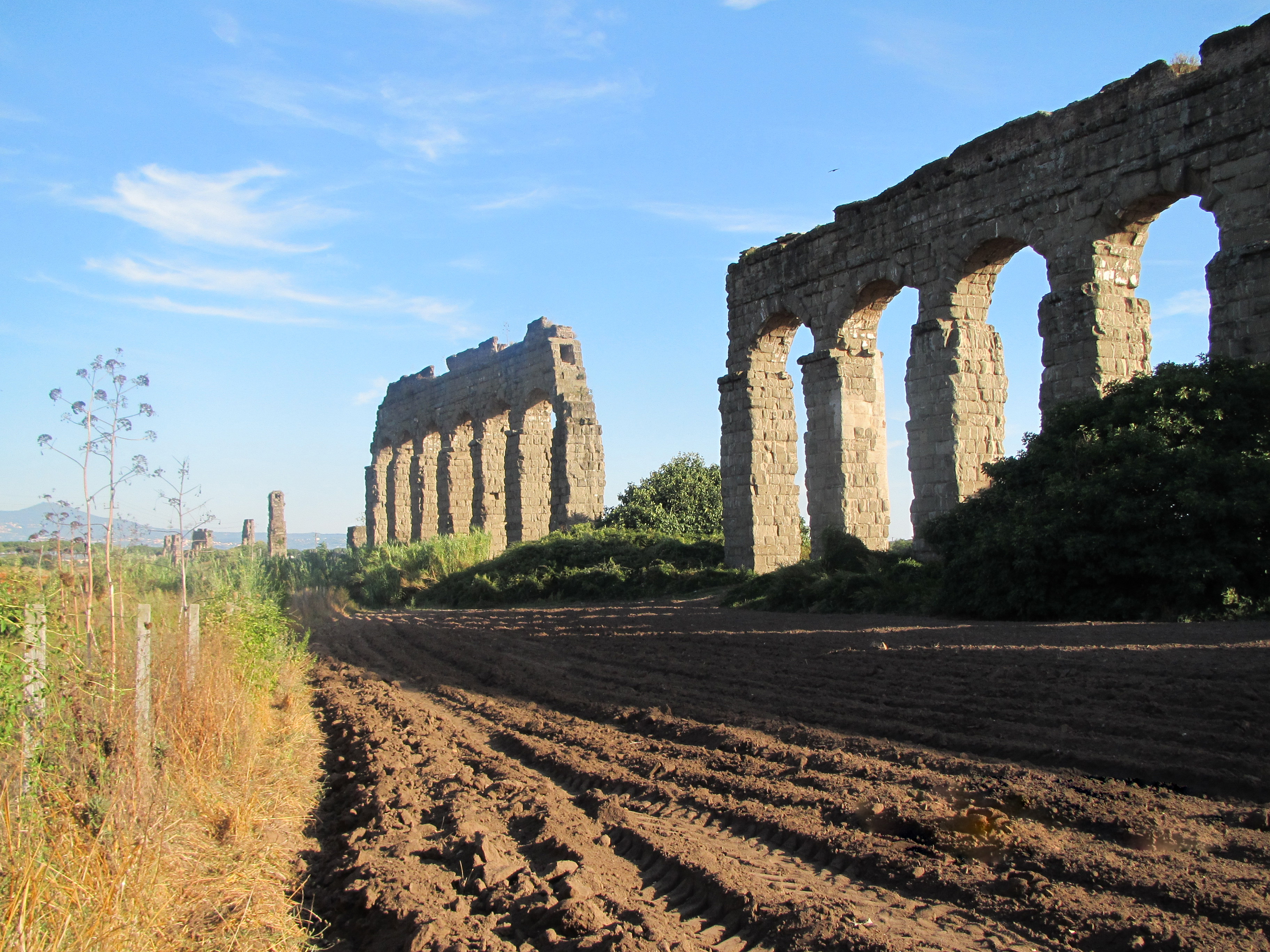 Parco degli Acquedotti 2013 -1