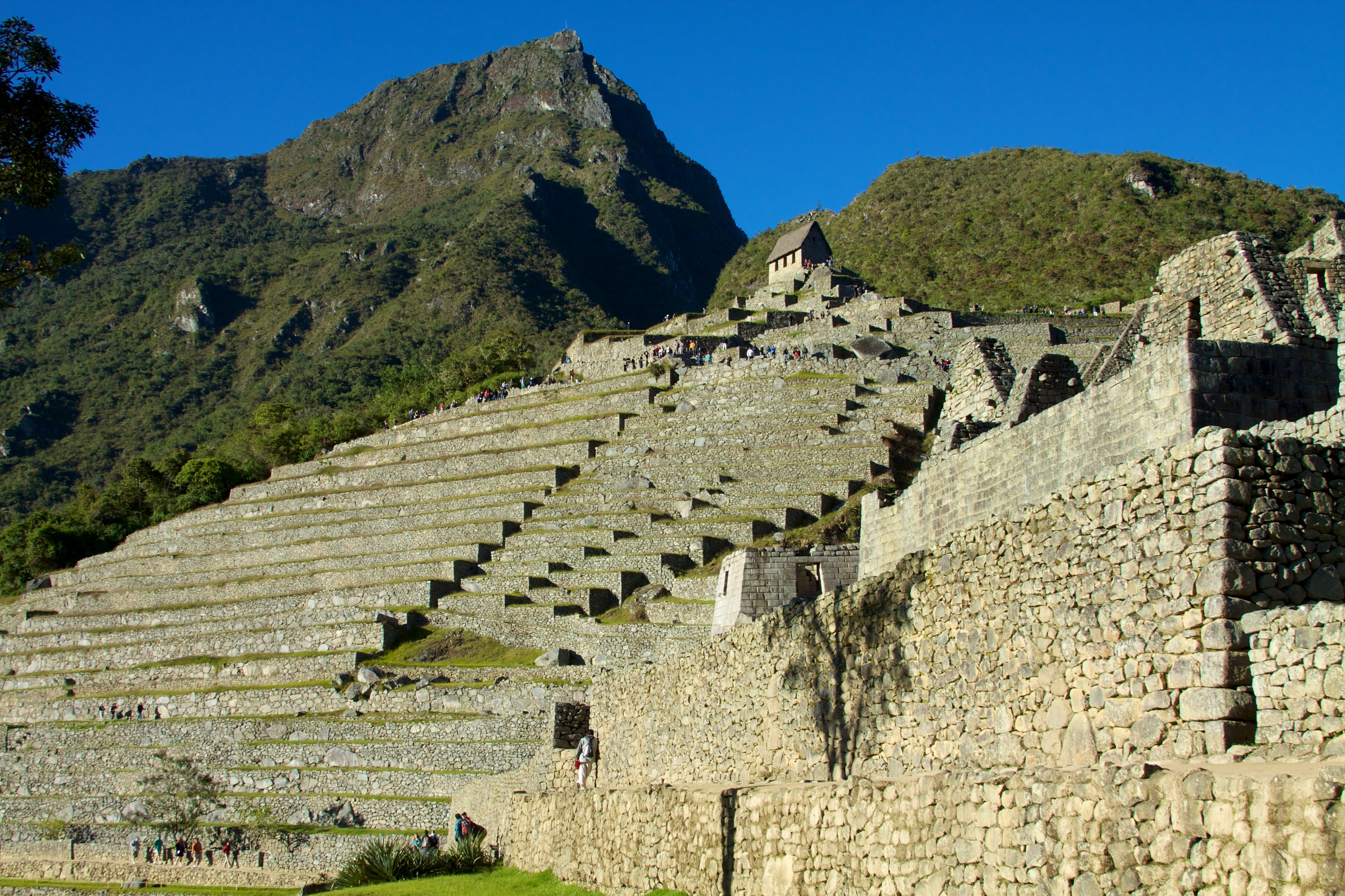 Peru - Machu Picchu 013 - looking back up at the terraces (7181870875)