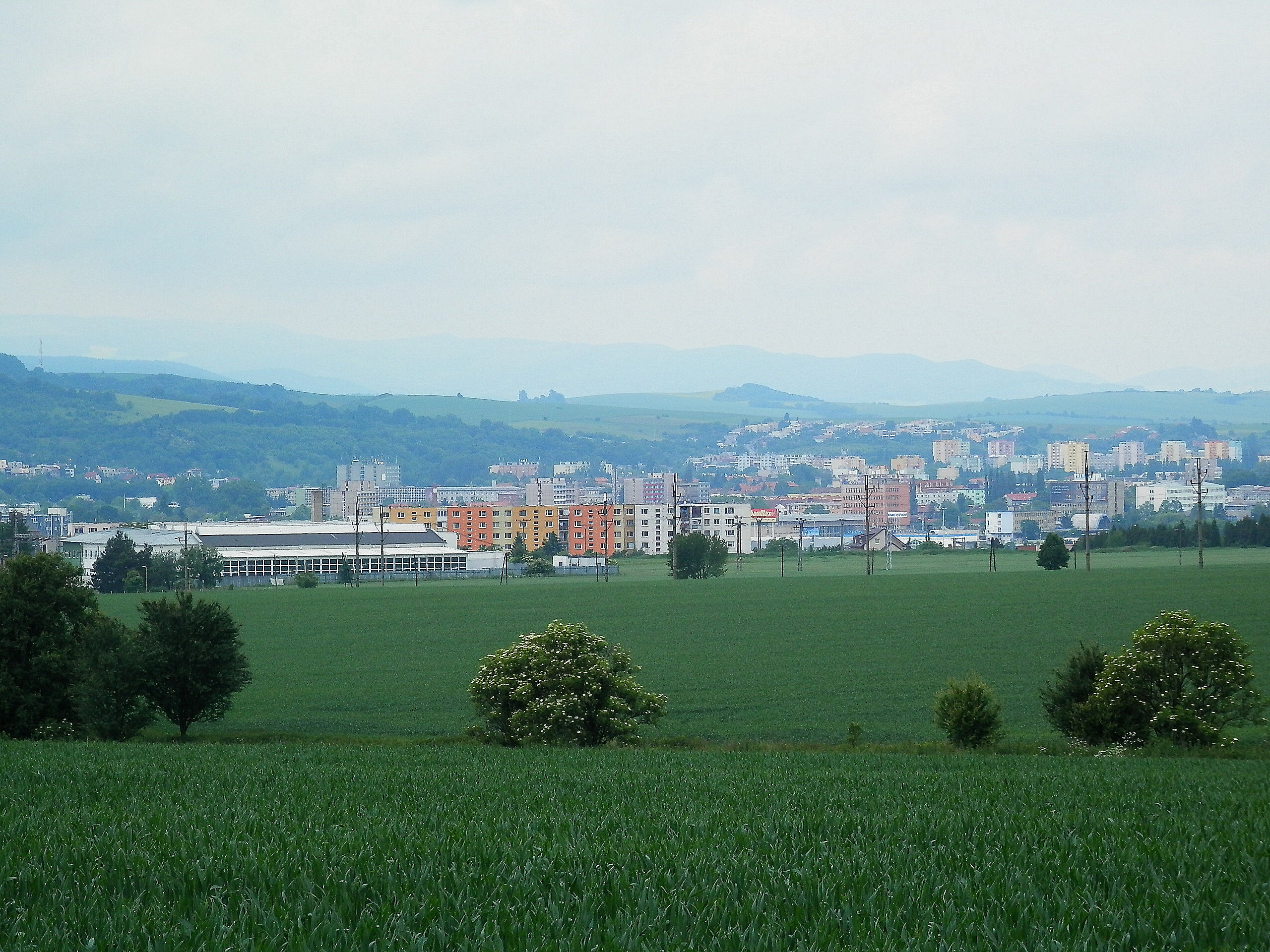 Presov13Slovakia257
