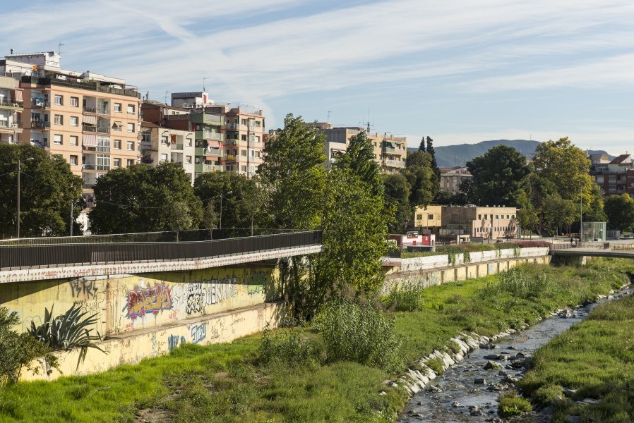 15-10-28-Cerdanyola del Vallès-WMA 2982