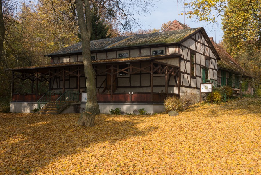 15-11-01-Kaninchenwerder-RalfR-WMA 3288