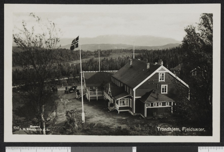 1545 Trondhjem, Fjeldsæter - no-nb digifoto 20150616 00066 bldsa PK18885