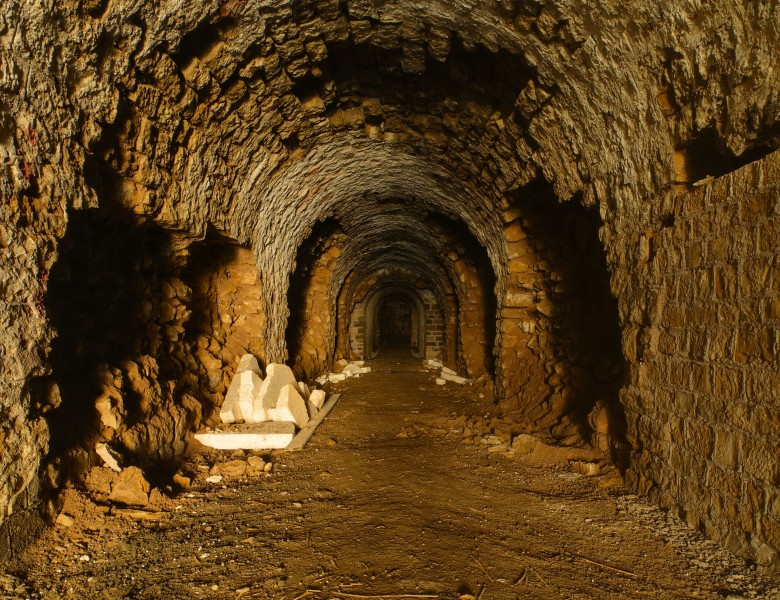 2011-03-03-ouv-essert-4