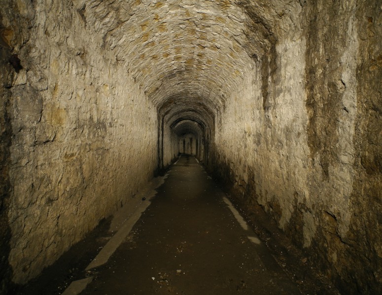2011-03-03-ouv-essert-5