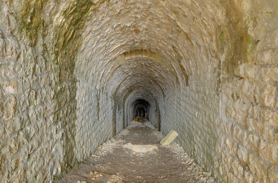 2011-03-20-fort-lomont-9
