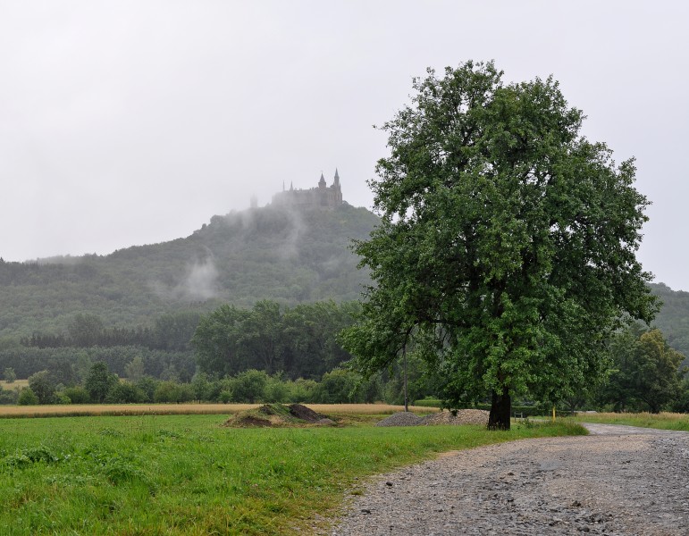 2011-07-17-hechingen-by-RalfR-093