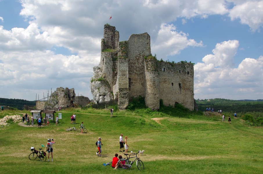 20140619 Zamek w Mirowie 3806