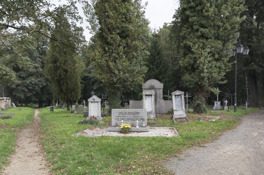 2014 Cmentarz komunalny w Ząbkowicach Śląskich, 14