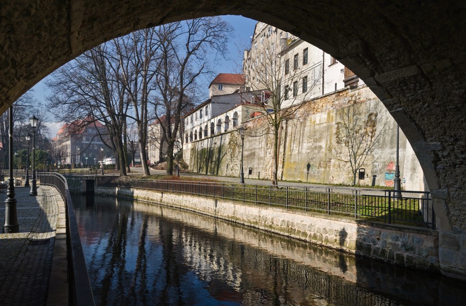 2014 Kłodzko, kanał Młynówka 06