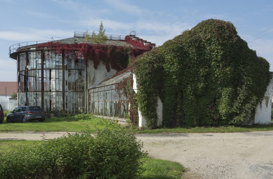 2014 Kamieniec Ząbkowicki, pl. Kościelny 12, szklarnia I, 06