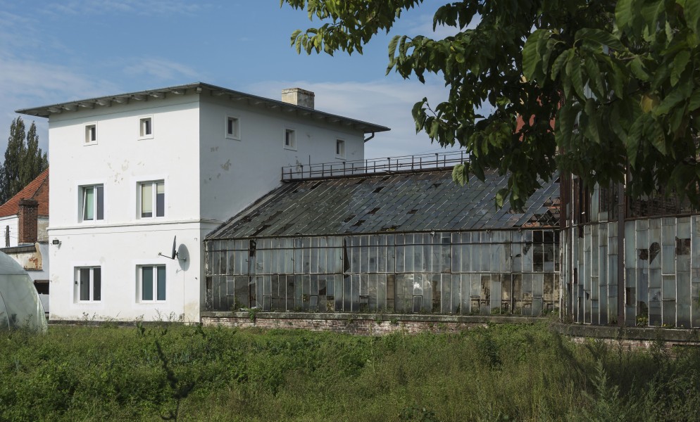 2014 Kamieniec Ząbkowicki, pl. Kościelny 12, szklarnia I, 10