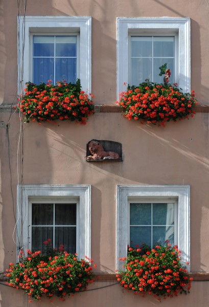 2014 Paczków, Rynek 5 02