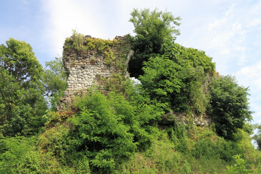 2014 Suchum, Pozostałości zamku Bagrata (02)