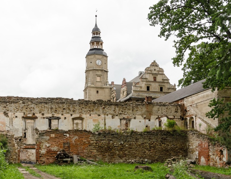 2014 Zamek w Gorzanowie 9