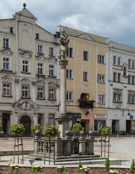 2015 Kolumna Maryjna w Radkowie 03