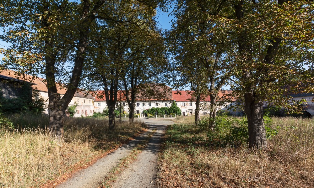 2015 Zespół Dworski w Starym Wielisławiu, aleja