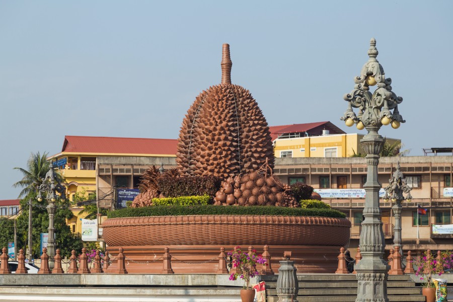 2016 Kampot, Rondo duriana (04)