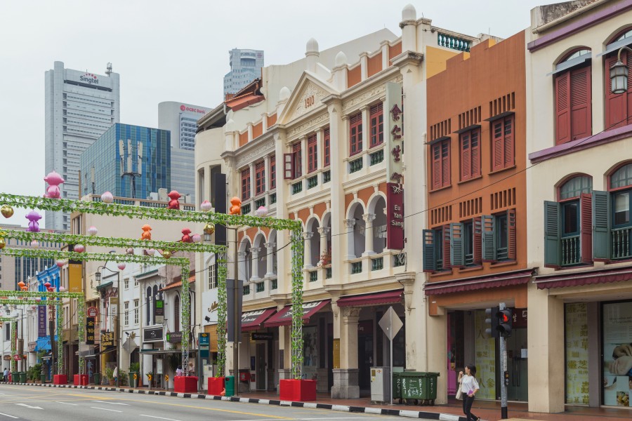 2016 Singapur, Chinatown, Ulica South Bridge, Domy-sklepy (14)