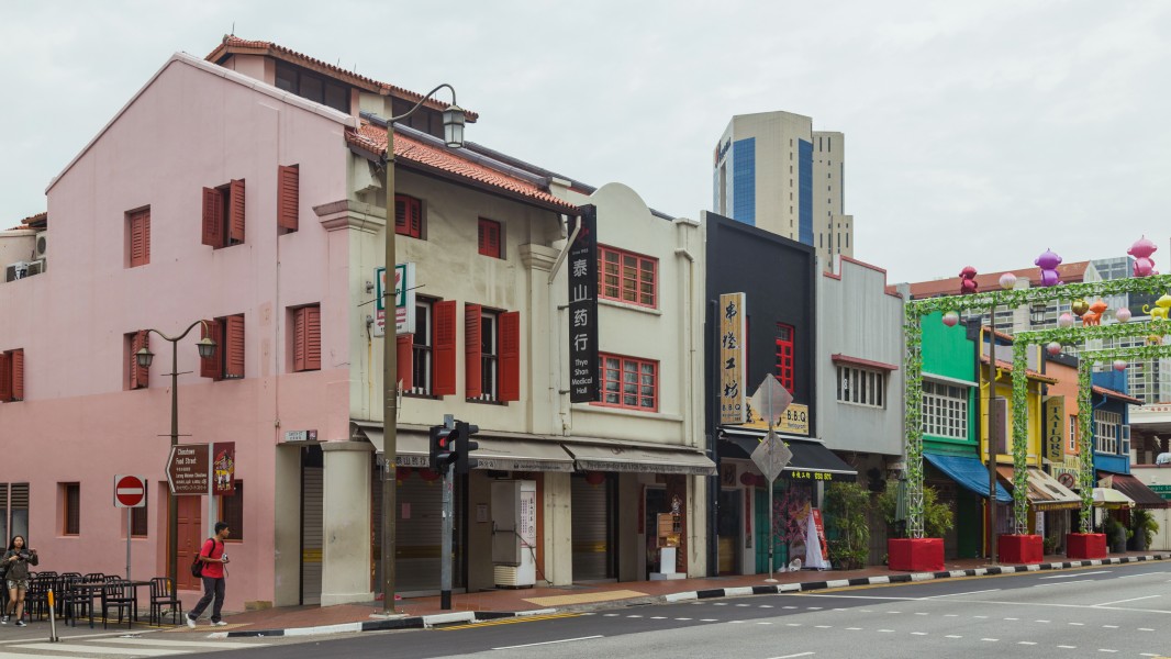 2016 Singapur, Chinatown, Ulica South Bridge, Domy-sklepy (09)