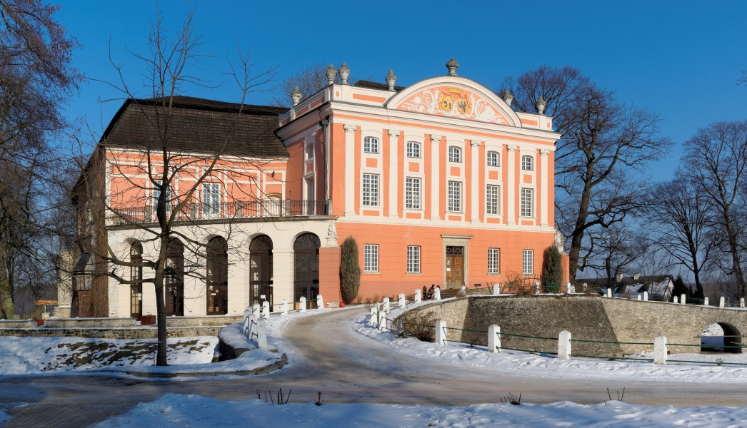 20170211 Pałac w Kurozwękach 4149