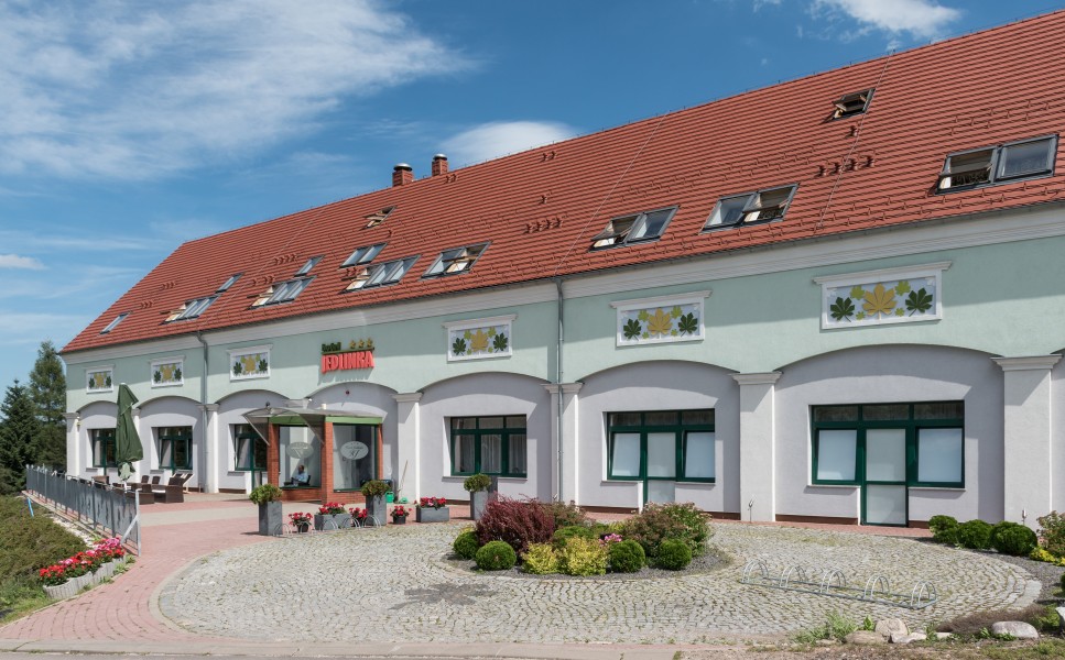 2017 Hotel Jedlinka w Jedlinie-Zdroju 3