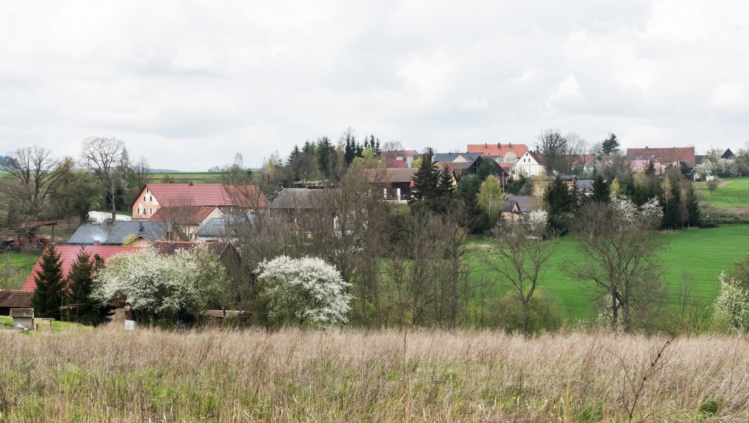 2017 Ruszowice