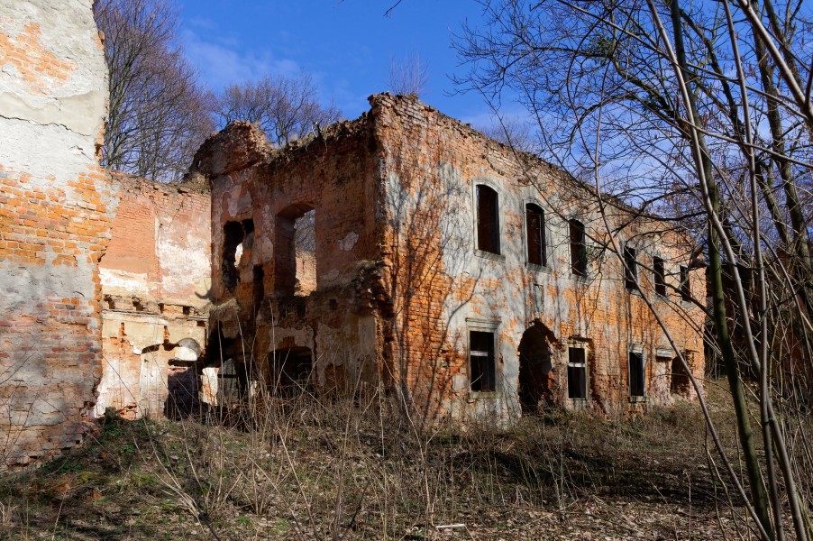 20180311 Pałac w Głębowicach 1088 DxO