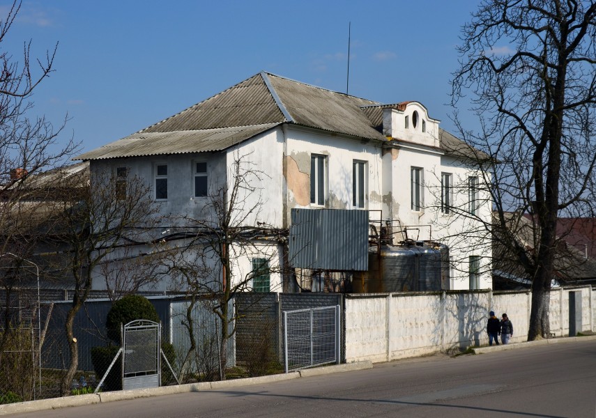 40 Lesi Ukrainky Street, Zhovkva (03)