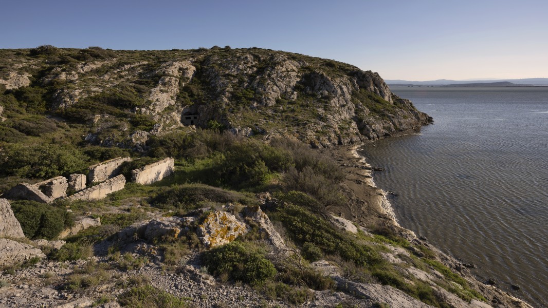 Île Saint-Martin, Gruissan cf09