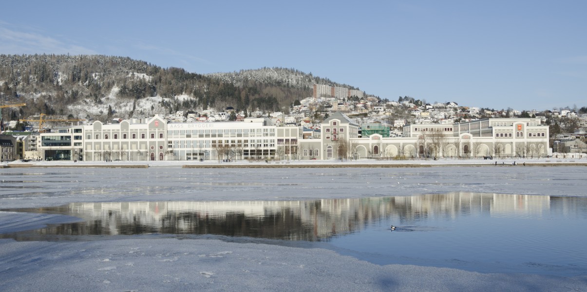 Aass bryggeri vinter 2018 (2)