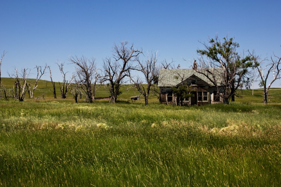 Abandoned Homestead (6005188706)