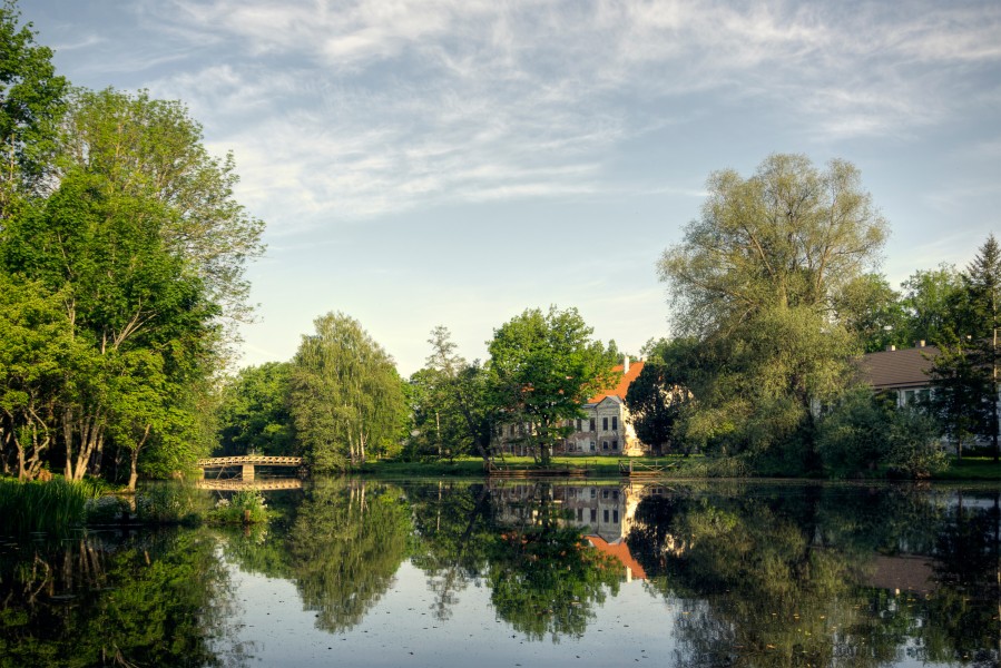 Ahja tiik 2